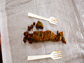 巨尻美女ちひろさん　うんち初披露　サンプル画像08